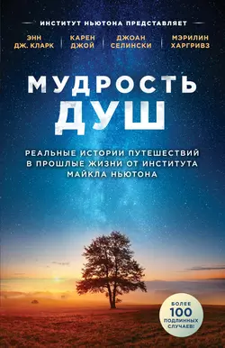 Мудрость душ. Реальные истории путешествий в прошлые жизни от Института Майкла Ньютона, Энн Дж. Кларк