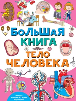 Большая книга. Тело человека, Сергей Гордиенко