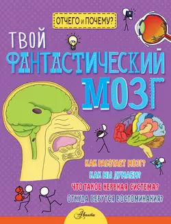 Твой фантастический мозг, Джон Фарндон