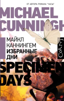 Избранные дни, Майкл Каннингем