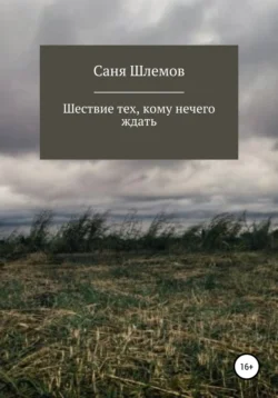 Шествие тех, кому нечего ждать…, Ярослав Демченко