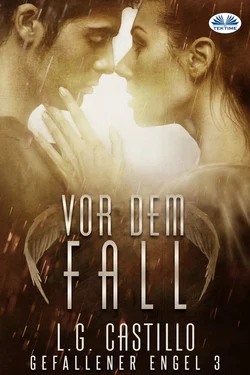 Vor Dem Fall, L. G. Castillo