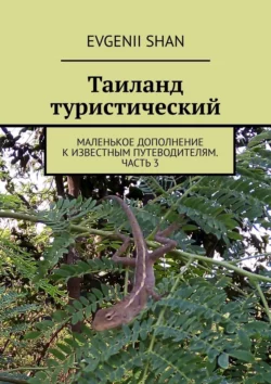 Таиланд туристический. Маленькое дополнение к известным путеводителям. Часть 3 Evgenii Shan