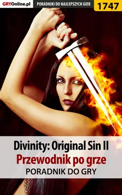 Divinity Original Sin 2, Agnieszka Adamus