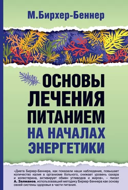 Основы лечения питанием на началах энергетики, Максимилиан Бирхер-Беннер