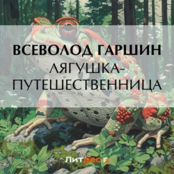 Лягушка-путешественница, Всеволод Гаршин