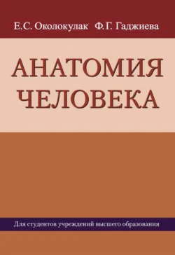 Анатомия человека, Евгений Околокулак