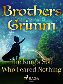 The King′s Son Who Feared Nothing, Frères Grimm