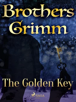 The Golden Key, Frères Grimm