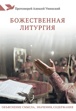 Божественная Литургия. Объяснение смысла, значения, содержания, Алексей Уминский