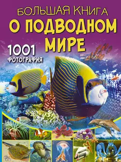 Большая книга о подводном мире. 1001 фотография, Вячеслав Ликсо