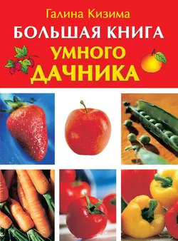 Большая книга умного дачника Галина Кизима