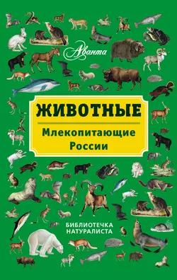 Животные. Млекопитающие России, Владимир Бабенко