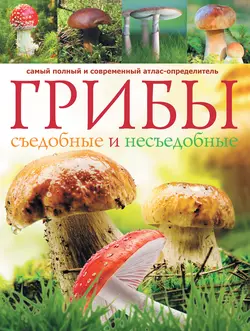 Грибы. Съедобные и несъедобные: Самый полный и современный атлас-определитель А. Поленов