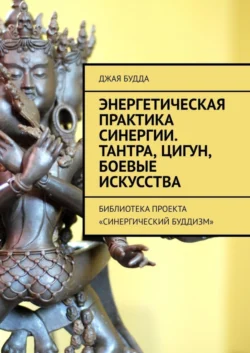 Энергетическая практика синергии. Тантра, цигун, боевые искусства. Библиотека проекта «Синергический буддизм», Джая Будда