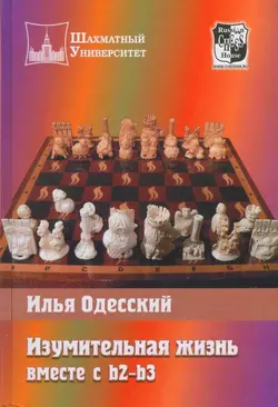 Изумительная жизнь вместе с b2-b3, Илья Одесский