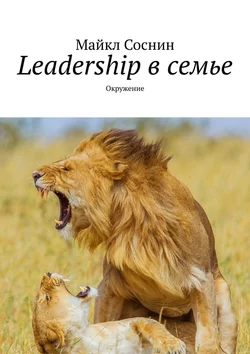 Leadership в семье. Окружение, Майкл Соснин