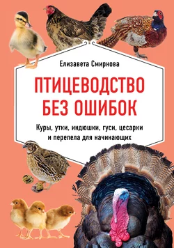 Птицеводство без ошибок. Куры  утки  индюшки  гуси  цесарки и перепела для начинающих Елизавета Смирнова