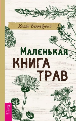 Маленькая книга трав, Холли Беллебуоно