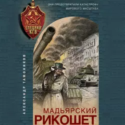 Мадьярский рикошет, Александр Тамоников