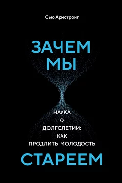 Зачем мы стареем. Наука о долголетии: как продлить молодость Сью Армстронг