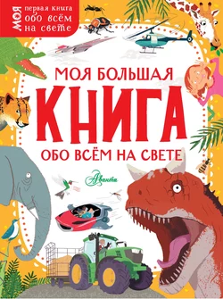 Моя большая книга обо всём на свете Камилла Бедуайер и Жаклин Маккэн