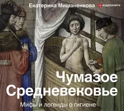 Чумазое Средневековье. Мифы и легенды о гигиене, Екатерина Мишаненкова