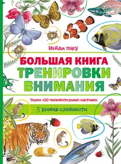 Большая книга тренировки внимания 