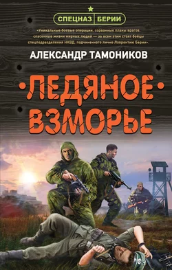 Ледяное взморье, Александр Тамоников