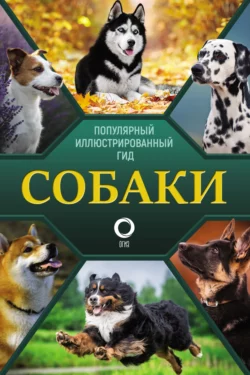 Собаки. Популярный иллюстрированный гид Елена Хомич и Любовь Вайткене