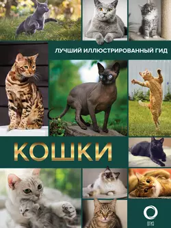 Кошки, Николай Непомнящий