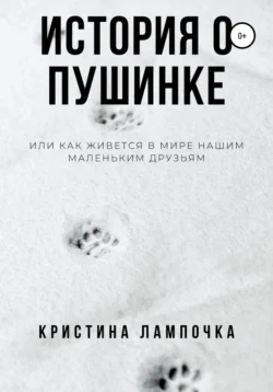 История о Пушинке  или Как живется в мире нашим маленьким друзьям Кристина Лампочка