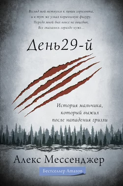 День 29-й. История мальчика, который выжил после нападения гризли, Алекс Мессенджер