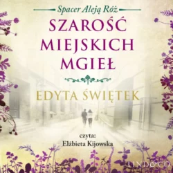 Szarość miejskich mgieł, Edyta Świętek