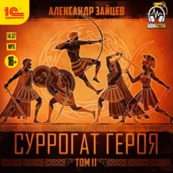 Суррогат героя. Том 2, Александр Зайцев