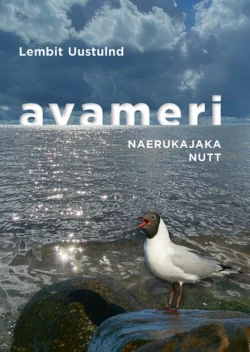 Avameri 3. Naerukajaka nutt, Lembit Uustulnd