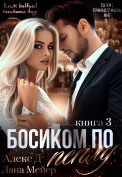 Босиком по пеплу. Книга 3, Алекс Д