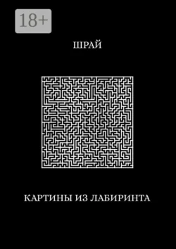 Картины из лабиринта, Шрай