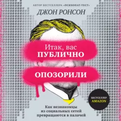 Итак, вас публично опозорили. Как незнакомцы из социальных сетей превращаются в палачей, Джон Ронсон