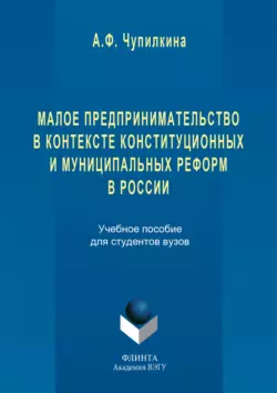 Малое предпринимательство в контексте конституционных и муниципальных реформ в России, Айгуль Чупилкина