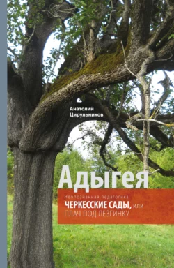 Неопознанная педагогика. Адыгея. Черкесские сады, или Плач под лезгинку, Анатолий Цирульников