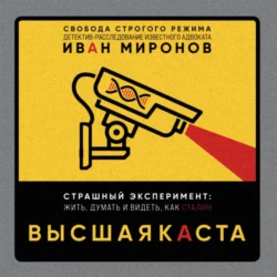 Высшая каста Иван Миронов