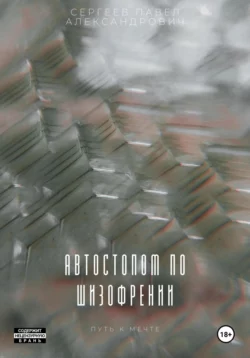 Автостопом по шизофрении, Павел Сергеев