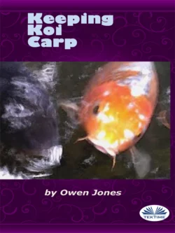 Keeping Koi Carp Owen Jones