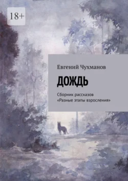 Дождь. Сборник рассказов «Разные этапы взросления», Евгений Чухманов