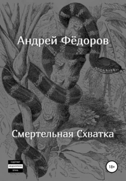 Смертельная схватка Андрей Фёдоров