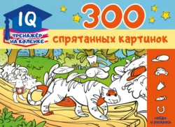 300 спрятанных картинок, Марина Мичкина