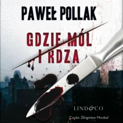 Gdzie mól i rdza, Paweł Pollak