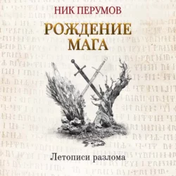 Хранитель Мечей. Рождение Мага, Ник Перумов