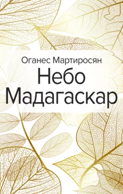 Небо Мадагаскар, Оганес Мартиросян